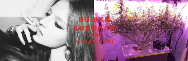 молекула духа Надым