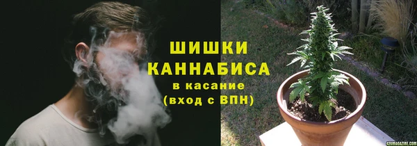 молекула духа Надым