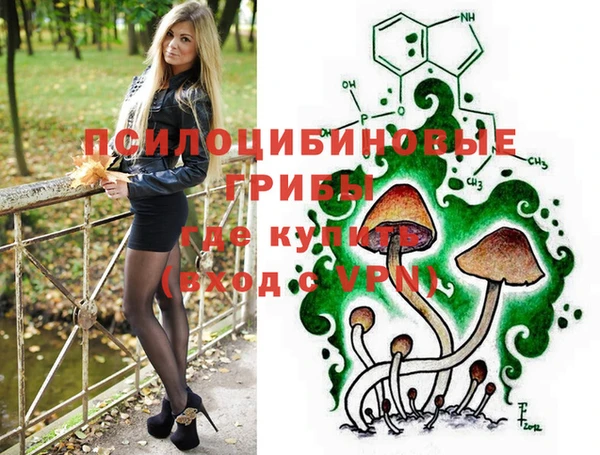 молекула духа Надым