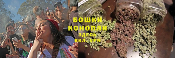 молекула духа Надым