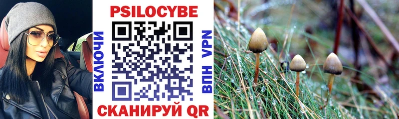Псилоцибиновые грибы Psilocybe Сясьстрой